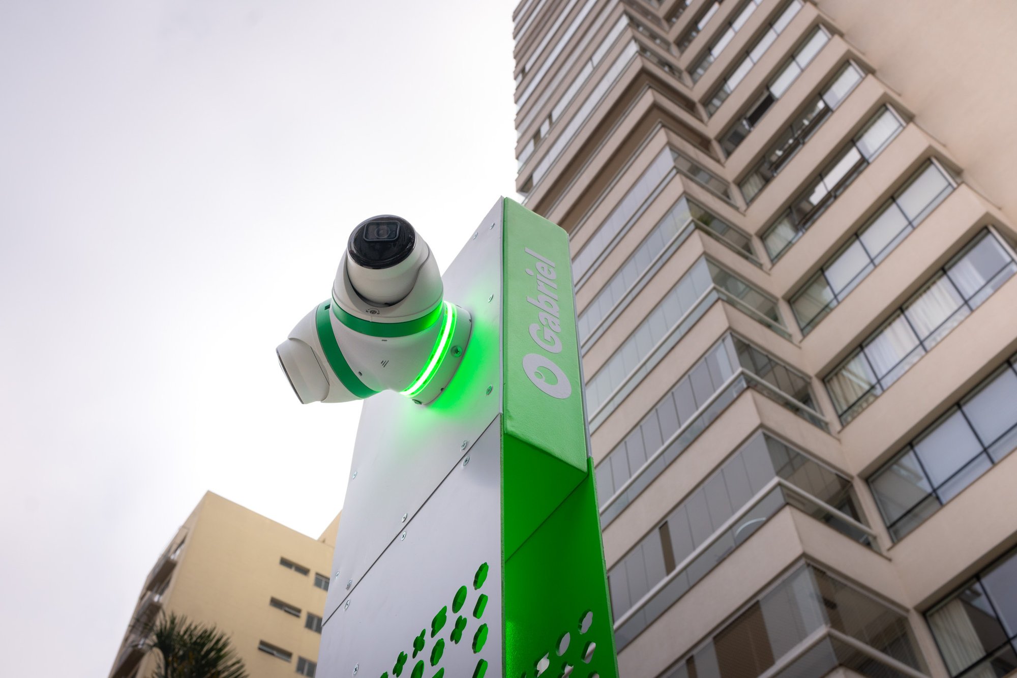 Cópia de Camaleão Max 2_10 dia (4)