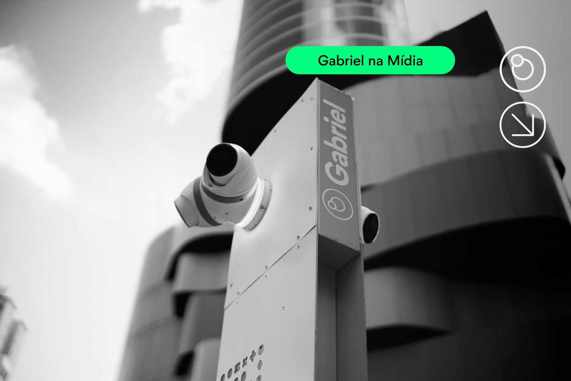 Capas_imprensacamaleao3