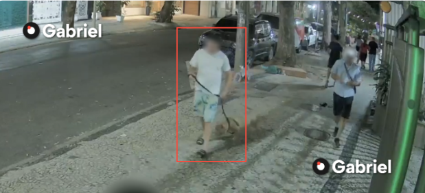 Suspeito de afogar e matar cachorro em Copacabana é indiciado pela Polícia Civil