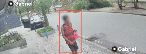 Suspeito de furtar portão de condomínio na Lagoa é detido pela Polícia Presente
