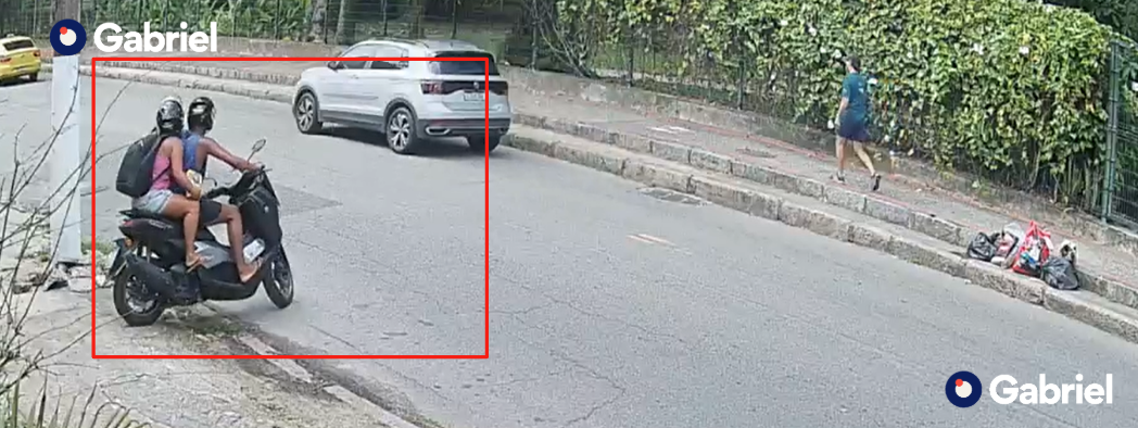 Suspeitos de tráfico de animais são detidos pelas autoridades por sequestrar macaco no Jardim Botânico, Rio de Janeiro