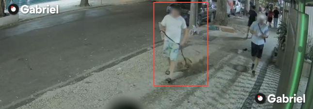 caso-suspeito-de-maustratos-e-morte-de-animal-em-copacabana-e-indiciado-pelas-autoridades-policiais