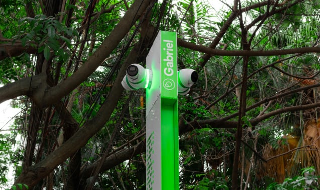 gabriel-cameleao-360