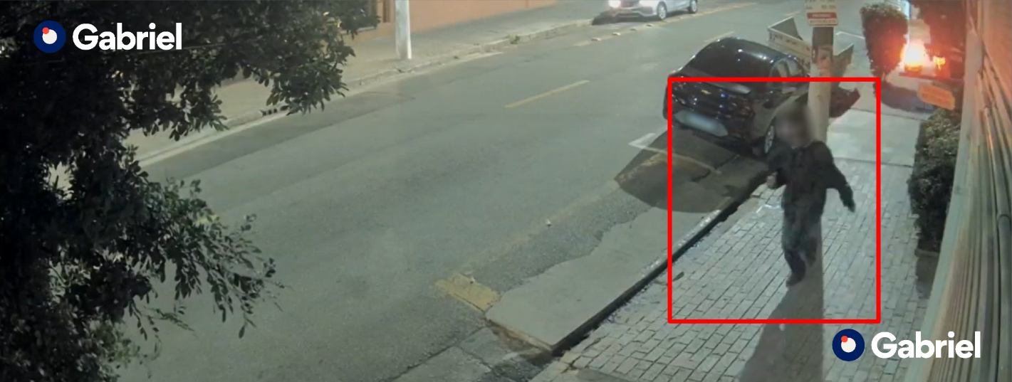 caso-pinheiros