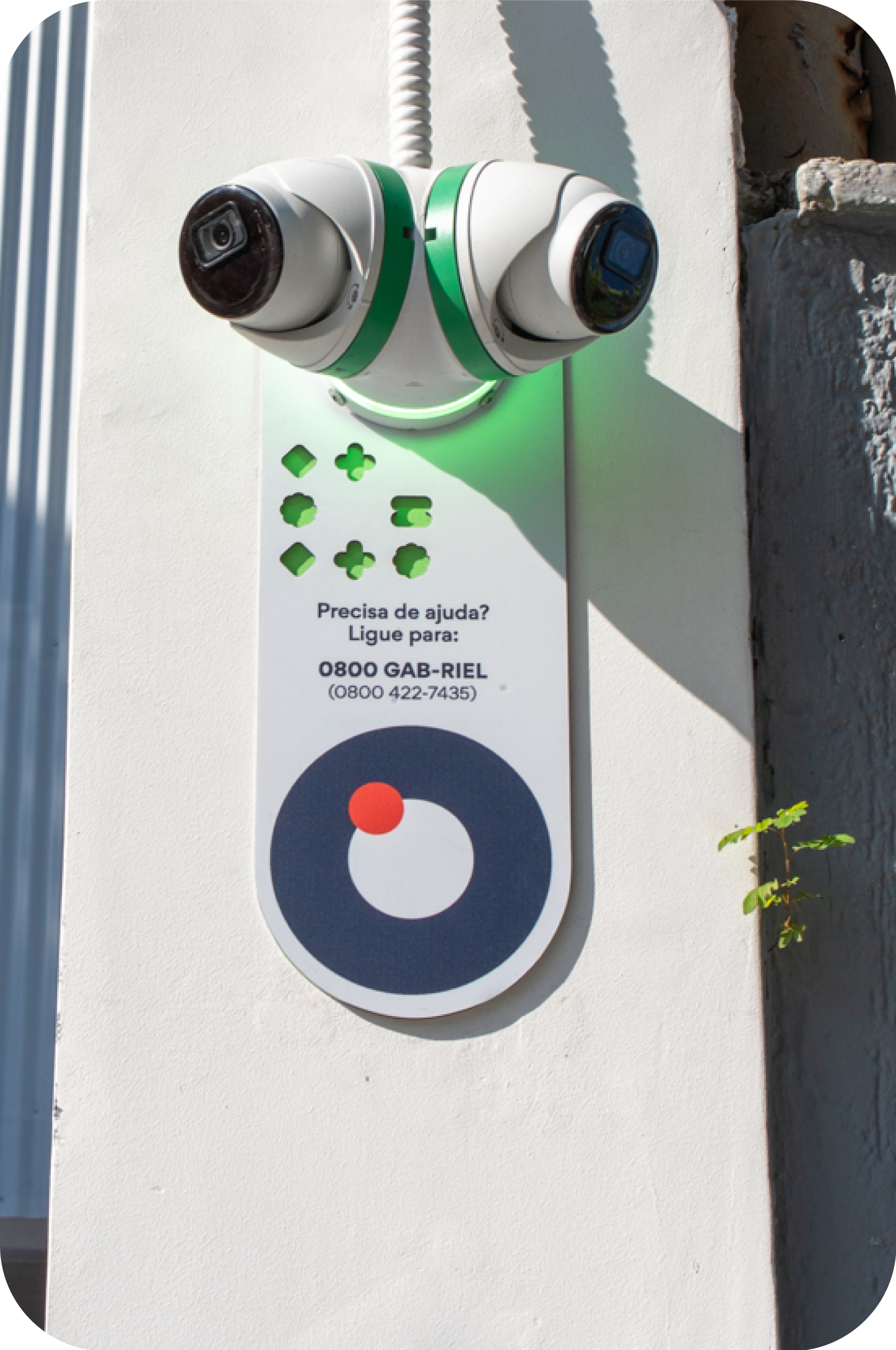 camaleão-Apr-27-2026-05-48-14-9324-PM