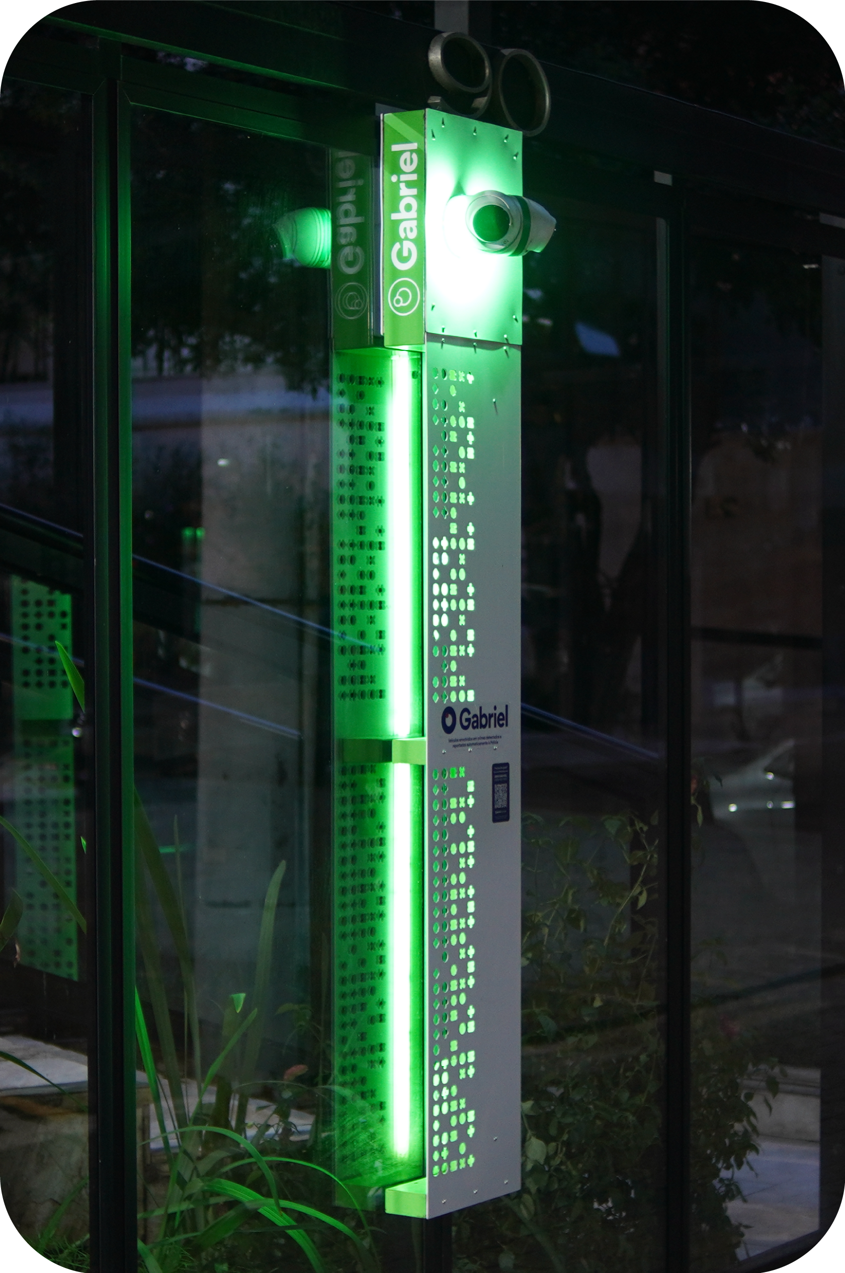 camaleão-max-parede